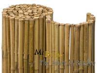 Bambus-Essen Detailansicht  Bambusrollzaun Natur