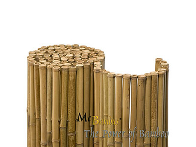 Bambus-Essen Bambuszäune